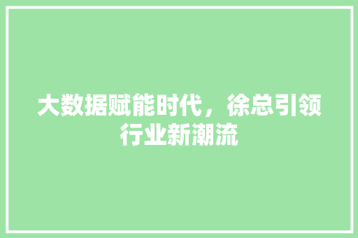 大数据赋能时代，徐总引领行业新潮流 网站优化