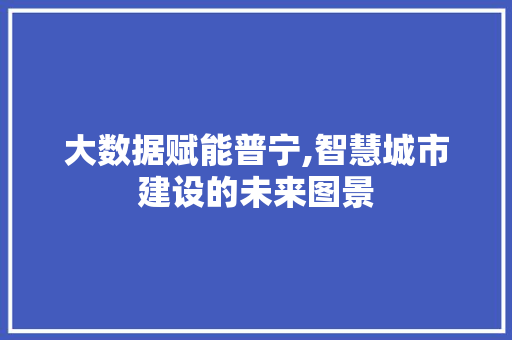 大数据赋能普宁,智慧城市建设的未来图景 AI技术学习