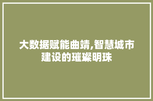 大数据赋能曲靖,智慧城市建设的璀璨明珠 AI技术学习