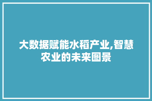 大数据赋能水稻产业,智慧农业的未来图景