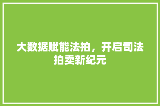 大数据赋能法拍，开启司法拍卖新纪元 AI技术学习