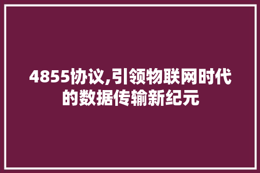 4855协议,引领物联网时代的数据传输新纪元 seo技术