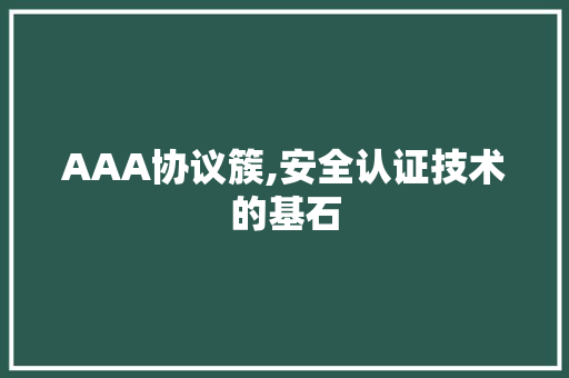 AAA协议簇,安全认证技术的基石 网站优化
