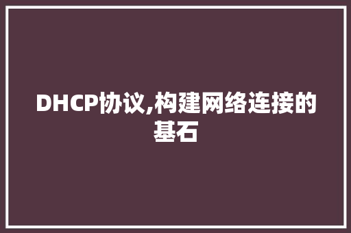 DHCP协议,构建网络连接的基石 小程序开发