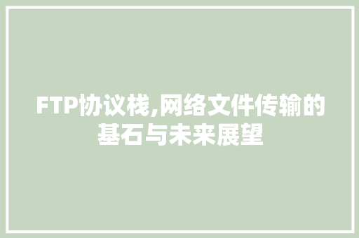 FTP协议栈,网络文件传输的基石与未来展望 网站优化