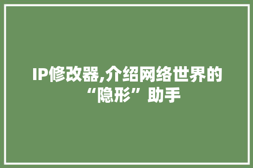 IP修改器,介绍网络世界的“隐形”助手