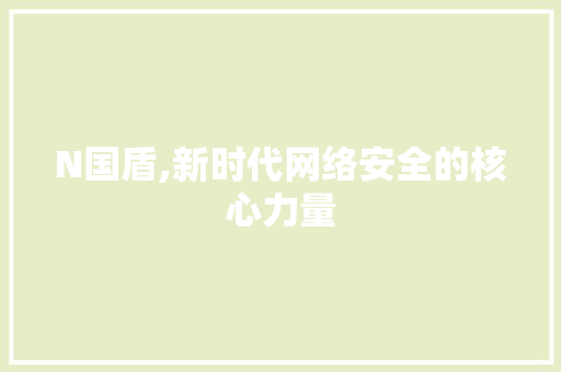 N国盾,新时代网络安全的核心力量