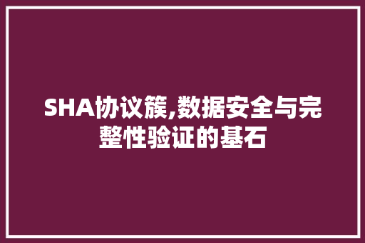SHA协议簇,数据安全与完整性验证的基石