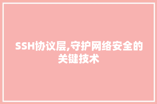 SSH协议层,守护网络安全的关键技术 百度算法