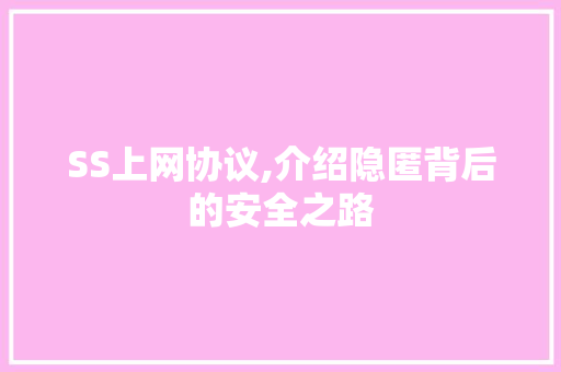 SS上网协议,介绍隐匿背后的安全之路 网站开发