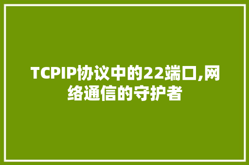 TCPIP协议中的22端口,网络通信的守护者 网站优化