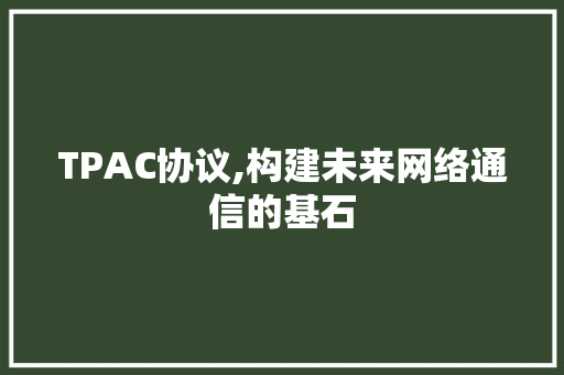 TPAC协议,构建未来网络通信的基石 网站开发