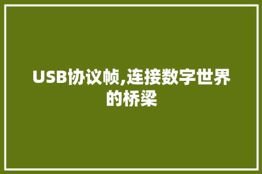 USB协议帧,连接数字世界的桥梁 英文谷歌算法