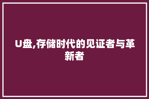 U盘,存储时代的见证者与革新者