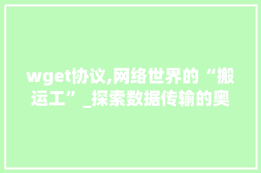 wget协议,网络世界的“搬运工”_探索数据传输的奥秘 网站优化