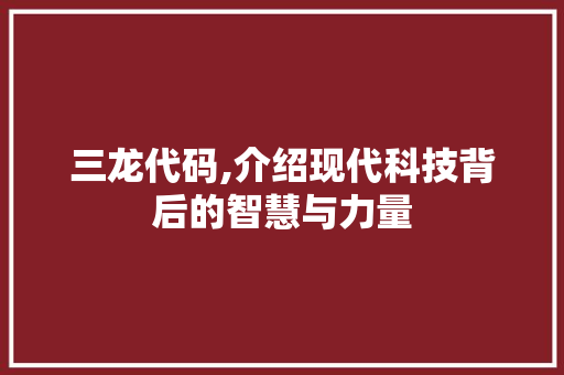 三龙代码,介绍现代科技背后的智慧与力量