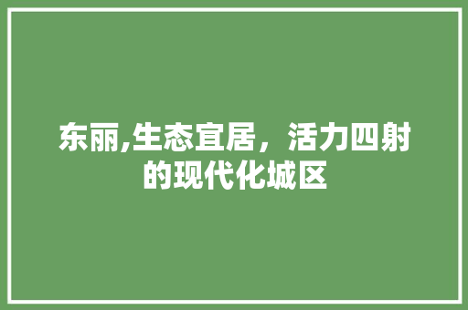 东丽,生态宜居，活力四射的现代化城区 英文谷歌算法