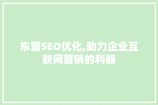 东营SEO优化,助力企业互联网营销的利器