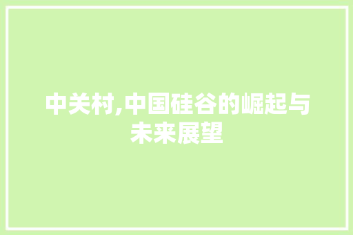 中关村,中国硅谷的崛起与未来展望