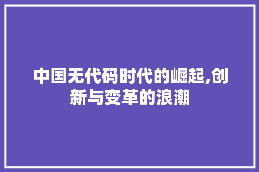 中国无代码时代的崛起,创新与变革的浪潮