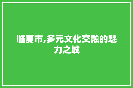 临夏市,多元文化交融的魅力之城 seo技术