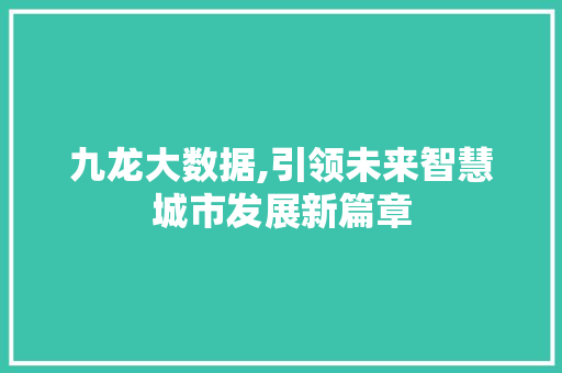九龙大数据,引领未来智慧城市发展新篇章 百度算法