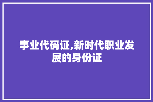 事业代码证,新时代职业发展的身份证 网站开发