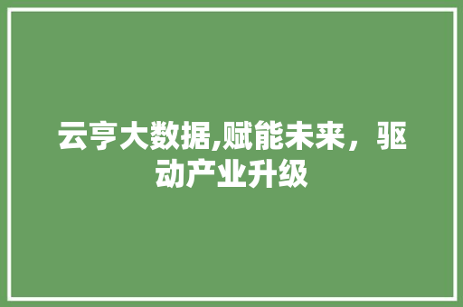 云亨大数据,赋能未来，驱动产业升级