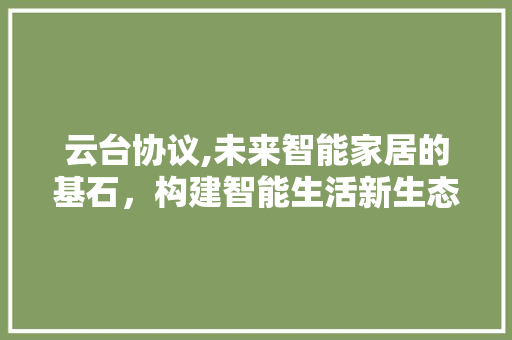 云台协议,未来智能家居的基石，构建智能生活新生态