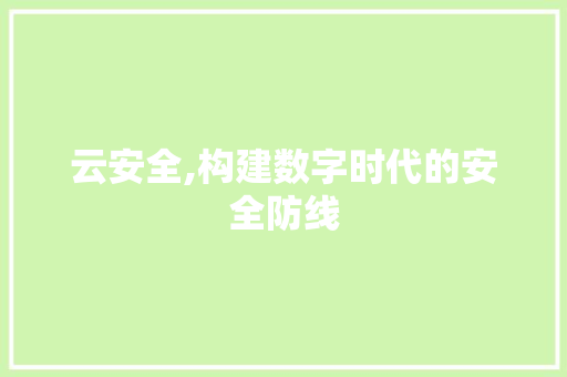 云安全,构建数字时代的安全防线 360搜优化