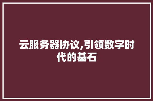 云服务器协议,引领数字时代的基石 英文谷歌算法