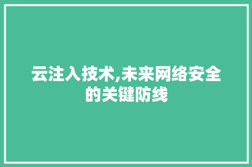 云注入技术,未来网络安全的关键防线 网站开发