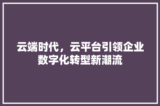 云端时代，云平台引领企业数字化转型新潮流 网站优化