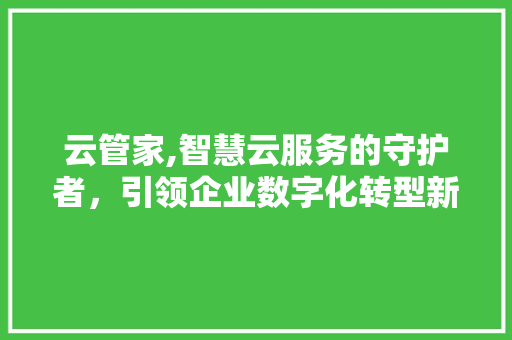 云管家,智慧云服务的守护者，引领企业数字化转型新篇章 网站优化