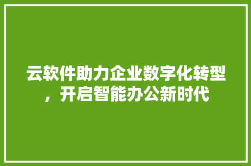 云软件助力企业数字化转型，开启智能办公新时代