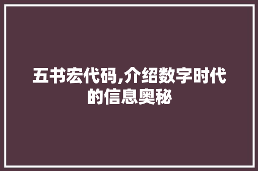 五书宏代码,介绍数字时代的信息奥秘