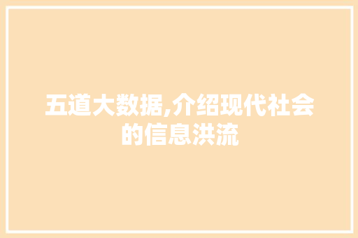 五道大数据,介绍现代社会的信息洪流 网站优化