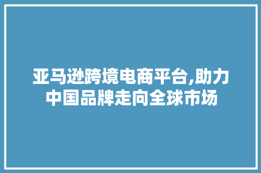 亚马逊跨境电商平台,助力中国品牌走向全球市场 网站优化