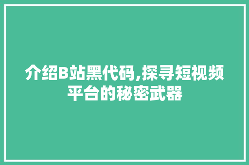 介绍B站黑代码,探寻短视频平台的秘密武器 网站优化