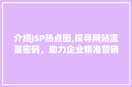 介绍JSP热点图,探寻网站流量密码，助力企业精准营销