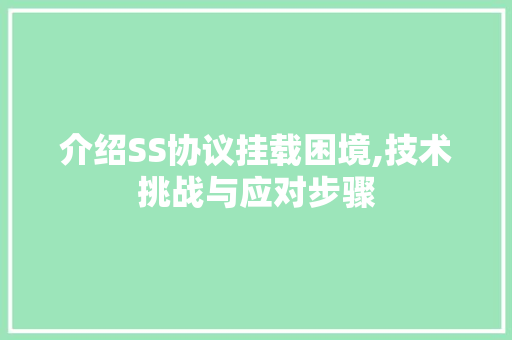 介绍SS协议挂载困境,技术挑战与应对步骤 seo技术