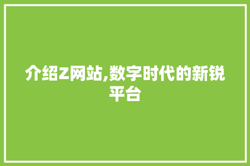 介绍Z网站,数字时代的新锐平台 网站开发