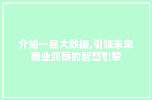 介绍一品大数据,引领未来商业洞察的智慧引擎