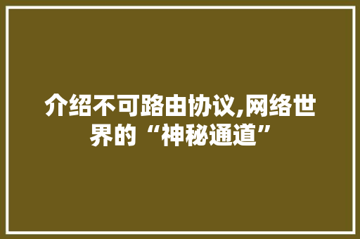 介绍不可路由协议,网络世界的“神秘通道”