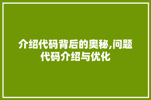 介绍代码背后的奥秘,问题代码介绍与优化
