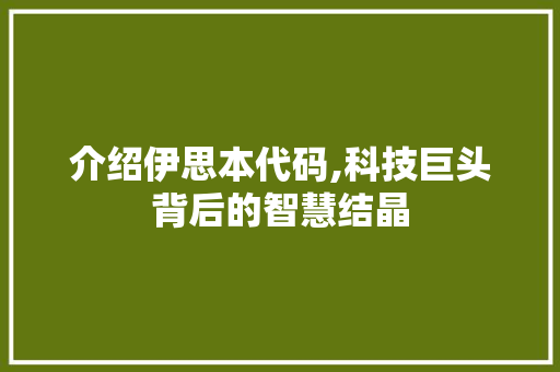 介绍伊思本代码,科技巨头背后的智慧结晶 seo技术