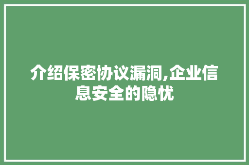 介绍保密协议漏洞,企业信息安全的隐忧 seo技术