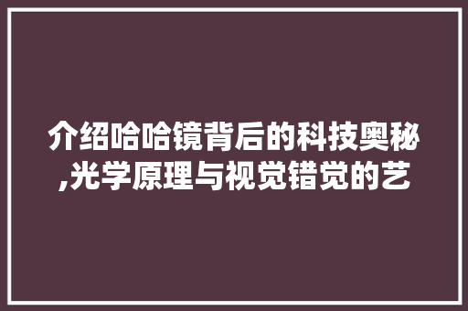介绍哈哈镜背后的科技奥秘,光学原理与视觉错觉的艺术演绎 英文谷歌算法