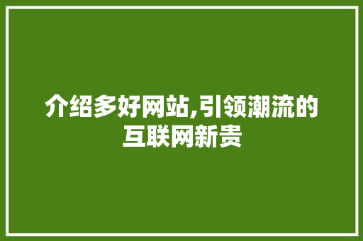 介绍多好网站,引领潮流的互联网新贵 360搜优化