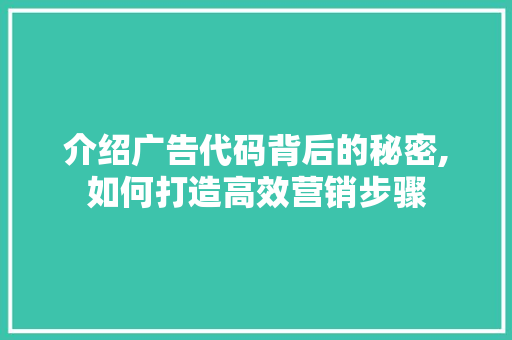 介绍广告代码背后的秘密,如何打造高效营销步骤 英文谷歌算法